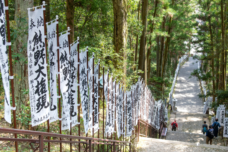 activity photo